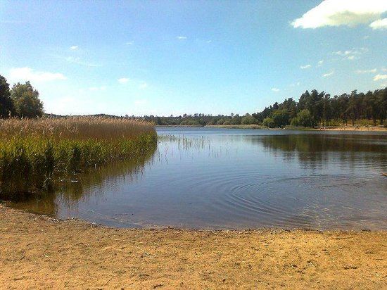 Frensham Little Pond